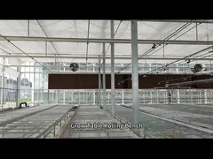 Mesh Wire Greenhouse Grow Table Rolling Bench Untuk Benih
