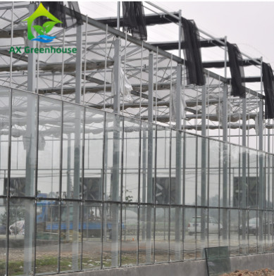 Kaca Tempered Komersial Venlo Tipe Rumah Kaca Multispan Untuk Pertanian