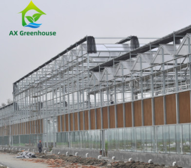 Kaca Tempered Komersial Venlo Tipe Rumah Kaca Multispan Untuk Pertanian