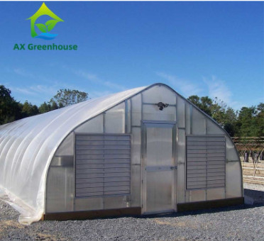 Tanaman Budidaya Single Span Polycarbonate PC Sheet Greenhouse dengan struktur yang stabil dan pemasangan mudah