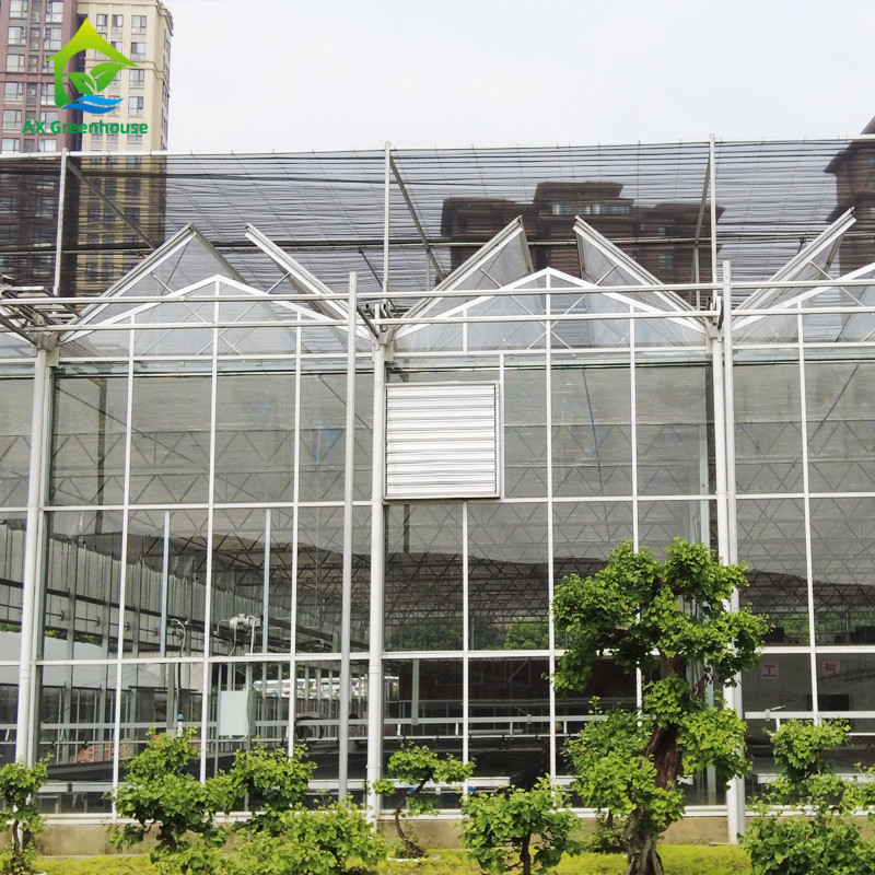 Hot Dip Galvanized Steel Structure Triangle Roof Molding 30*20m Komersial Customized Automatic Glasshouse Venlo Glass Greenhouse