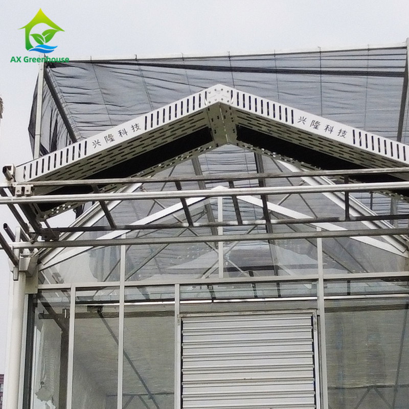 9.6m/10.8m/12m Lebar Kerangka Alloy Aluminium Kaca Pertanian Venlo Multi-span Rumah Kaca Dengan Perbentuk Atap Segitiga
