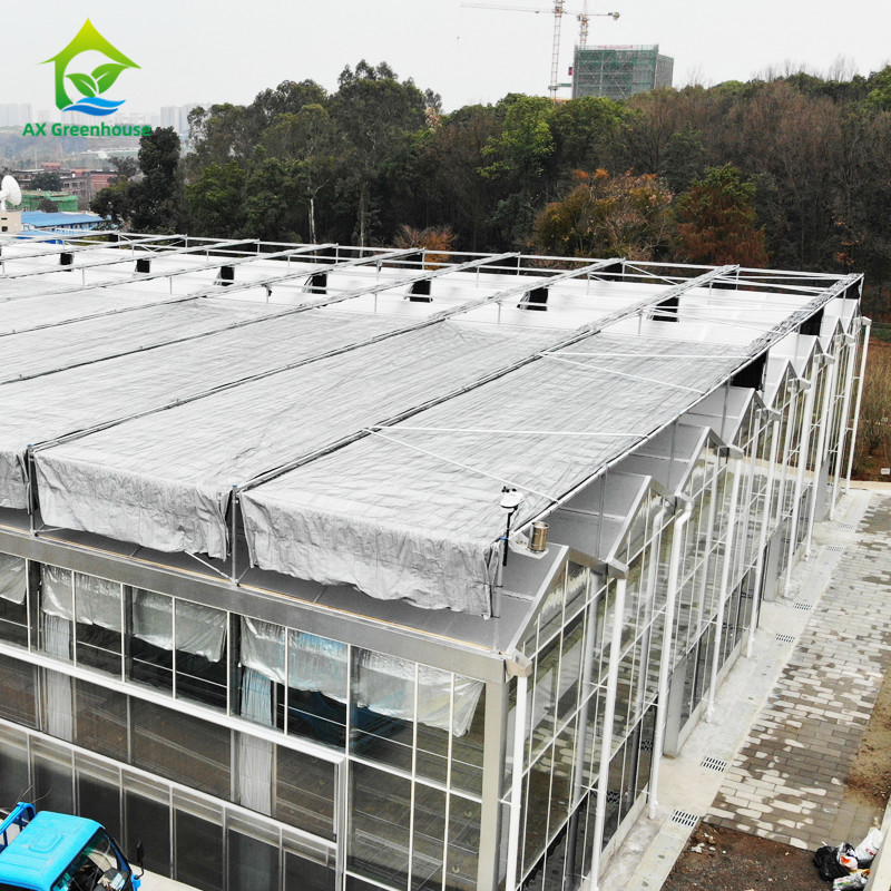 Sistem Kontrol Cerdas Rumah kaca tahan lama Untuk Sayuran 9.6m/10.8m/12m Lebar