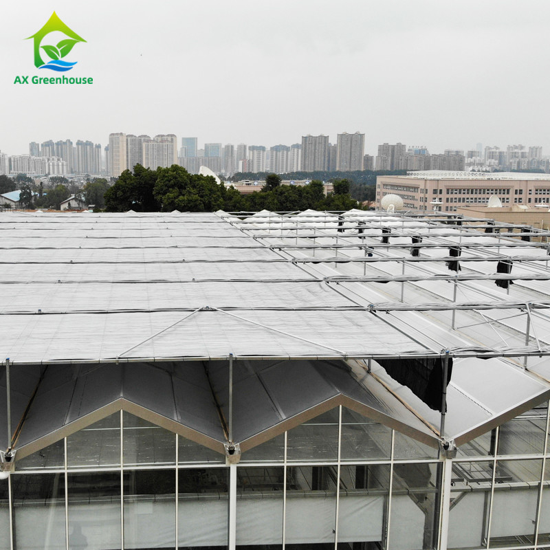 Hot Dip Galvanized Steel Structure Triangle Roof Molding 30*20m Komersial Customized Automatic Glasshouse Venlo Glass Greenhouse