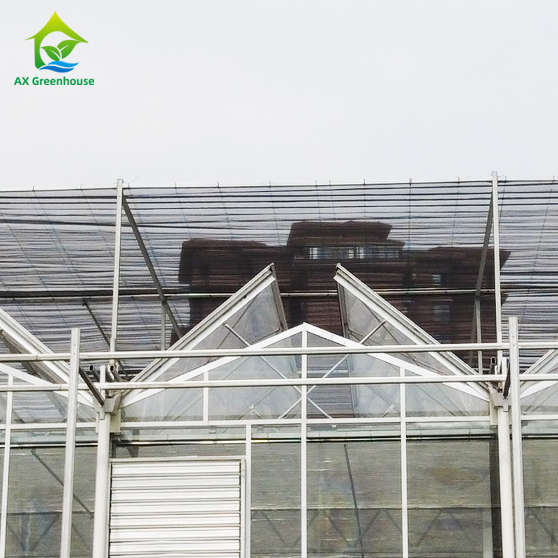 9.6m/10.8m/12m Lebar Kerangka Alloy Aluminium Kaca Pertanian Venlo Multi-span Rumah Kaca Dengan Perbentuk Atap Segitiga