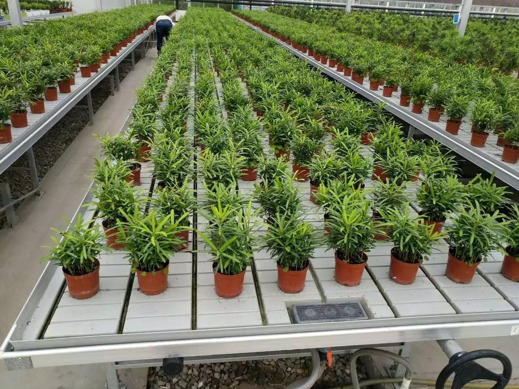 Ebb Flow Hydroponic Mobile Hydroponic Soilless Culture Grow Tables Rolling Bench Untuk Menanam Benih