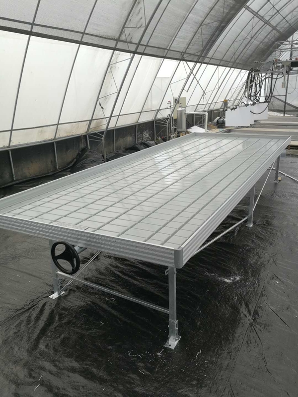 Greenhouse Ebb Flow Seeding Rolling Bench Grow Tables Untuk Menumbuhkan Berbagai Jenis Tanaman