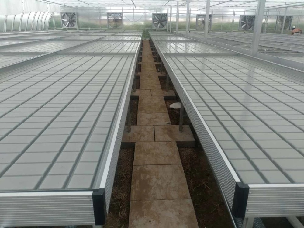 Grow Table Flood Tray Rolling Ebb And Flow Bench Untuk Bibit Bunga Rumah Kaca