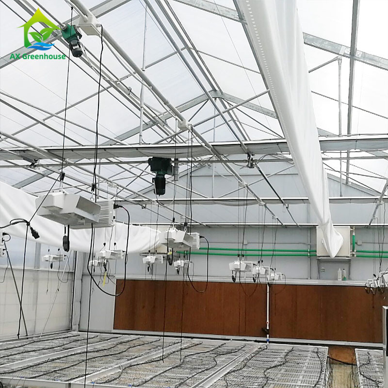 PE Film 220V Auto Light Deprivation Greenhouse 100% Blackout High Tunnel Greenhouse untuk penanaman Mariguana