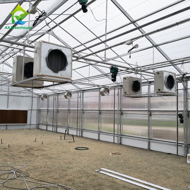 PE Film 220V Auto Light Deprivation Greenhouse 100% Blackout High Tunnel Greenhouse untuk penanaman Mariguana