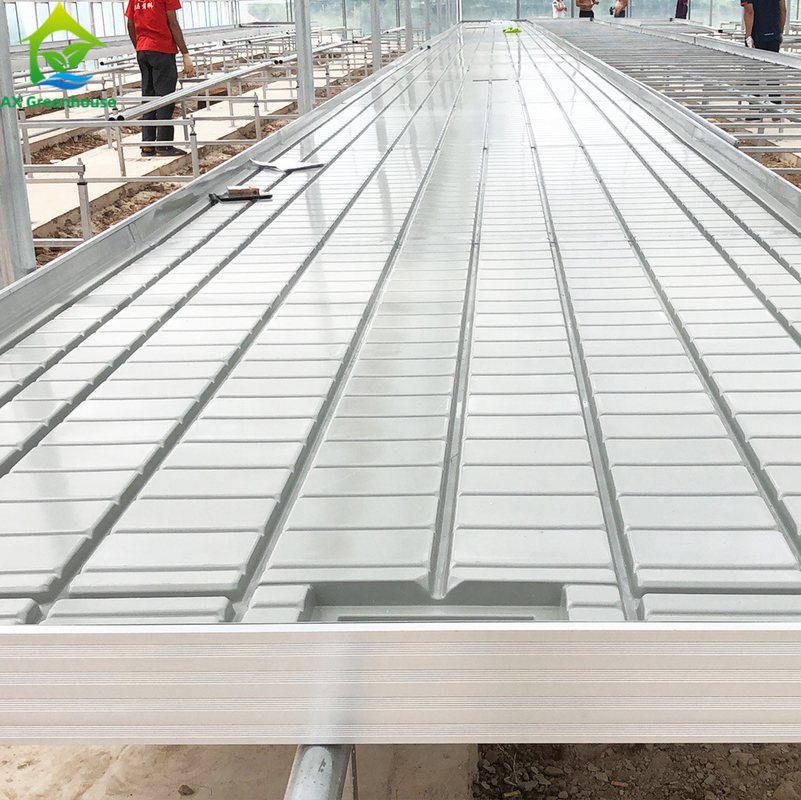 Greenhouse Ebb Flow Seeding Rolling Bench Grow Tables Untuk Menumbuhkan Berbagai Jenis Tanaman