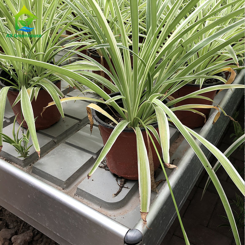 Ebb Flow Hydroponic Mobile Hydroponic Soilless Culture Grow Tables Rolling Bench Untuk Menanam Benih