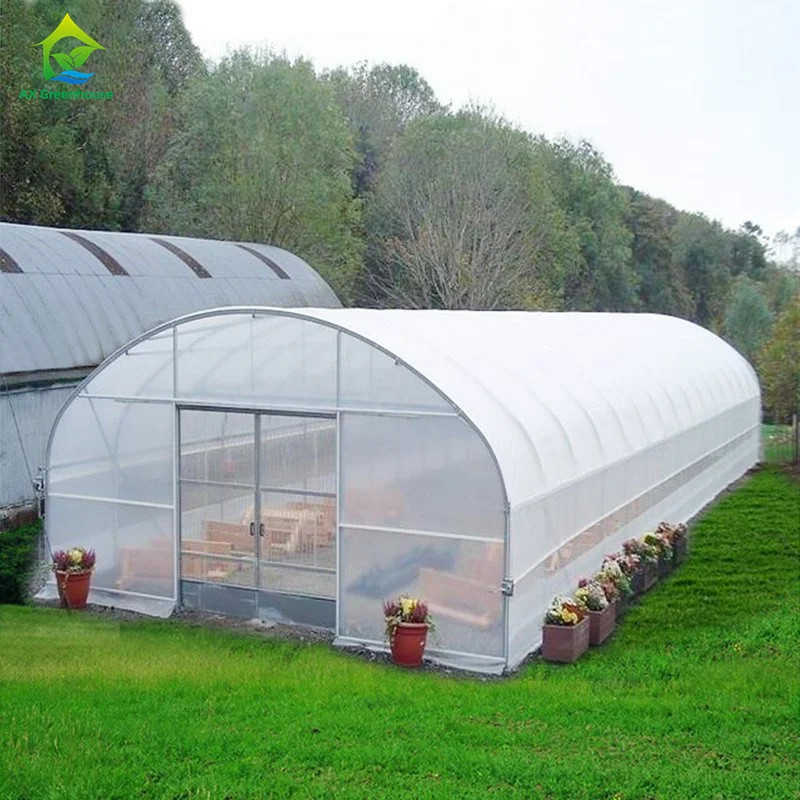 Kekuatan Tinggi Instalasi Mudah Polytunnel Rumah Kaca Pencegahan Serangga Meningkatkan Produksi