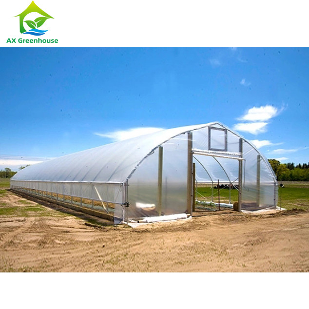 Kekuatan Tinggi Instalasi Mudah Polytunnel Rumah Kaca Pencegahan Serangga Meningkatkan Produksi