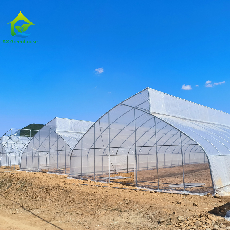 Single-Span Sawtooth Desain Tropical Plastic Film Greenhouse Tunnel Disesuaikan untuk Pertanian Sayuran