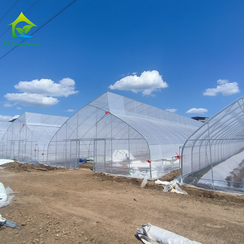 Single-Span Sawtooth Desain Tropical Plastic Film Greenhouse Tunnel Disesuaikan untuk Pertanian Sayuran