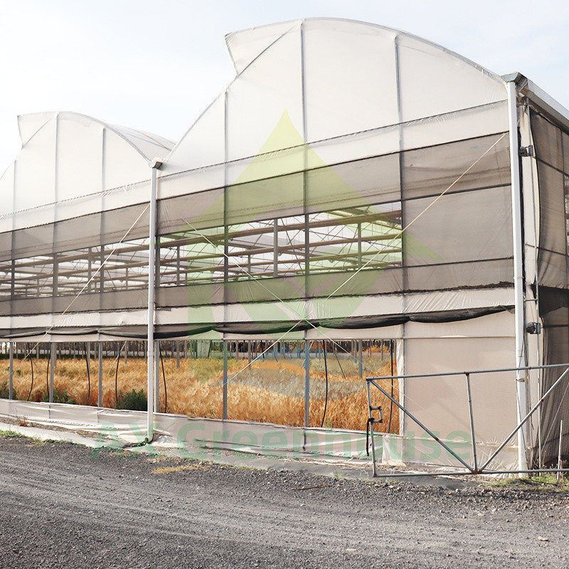 Struktur Baja Film Tahan UV Poly Tunnel Multi-span Rumah Kaca Sayuran untuk Tomat