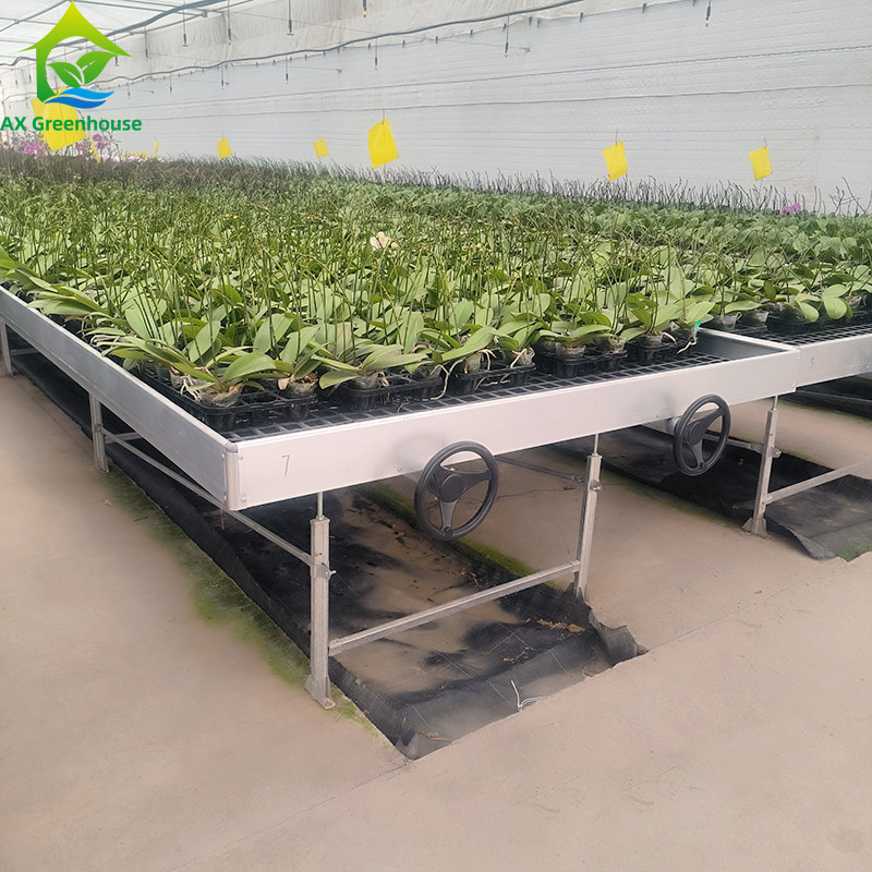 Ebb And Flood Hydroponic Movable Table Rolling Bench Untuk Menumbuhkan Tanaman Di Rumah Kaca