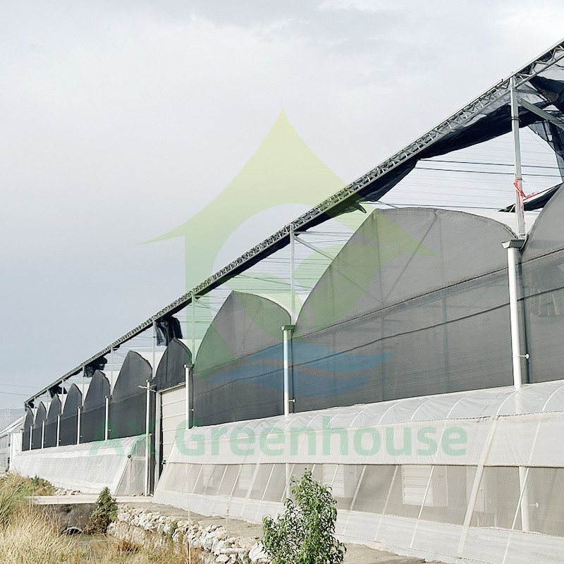 Plastik PE Film Multi Span Tomato Poly Tunnel Greenhouse Untuk Buah Sayuran Dengan Shade Net