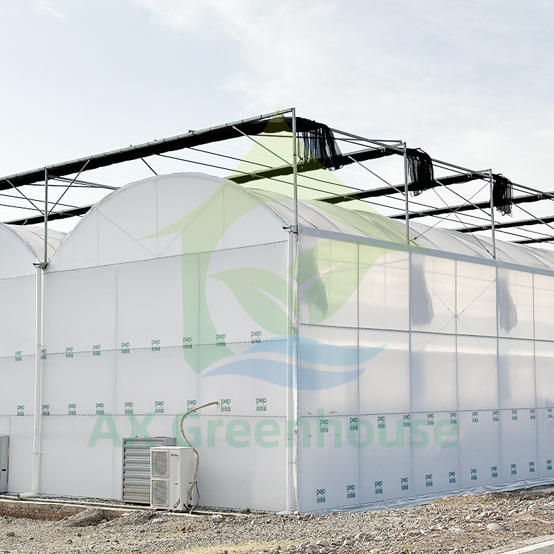 Plastik PE Film Multi Span Tomato Poly Tunnel Greenhouse Untuk Buah Sayuran Dengan Shade Net