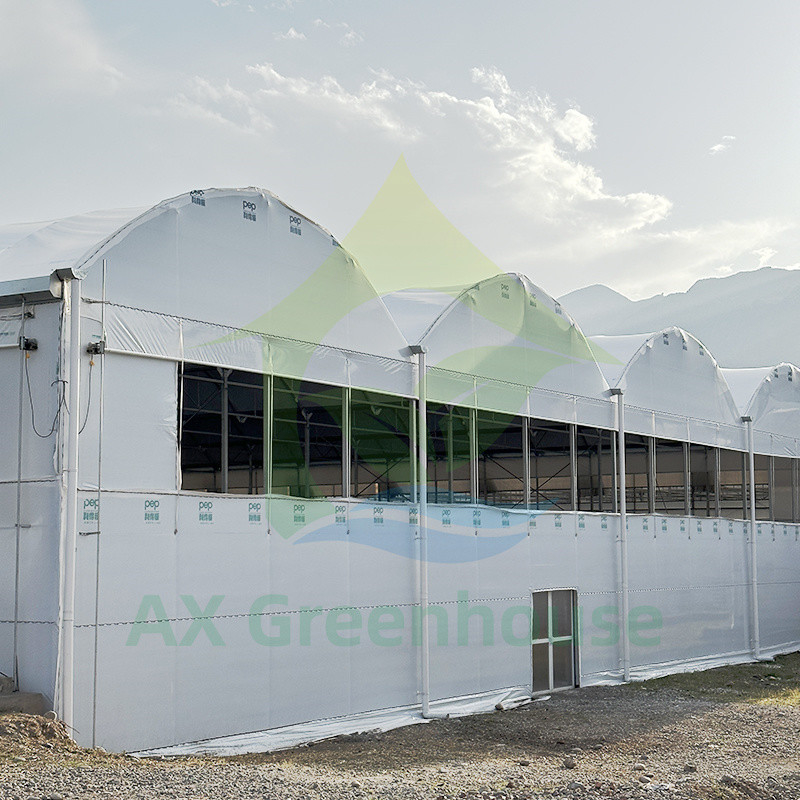 Plastik PE Film Multi Span Tomato Poly Tunnel Greenhouse Untuk Buah Sayuran Dengan Shade Net