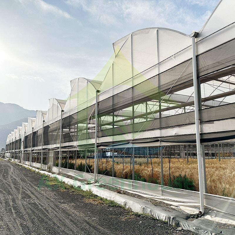 Plastik PE Film Multi Span Tomato Poly Tunnel Greenhouse Untuk Buah Sayuran Dengan Shade Net