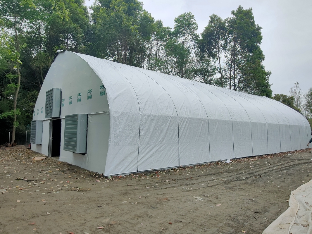 Harga Pabrik Custom Plastik Film Terowongan Tomat Tumbuh Tenda Rumah Kaca untuk Pertanian