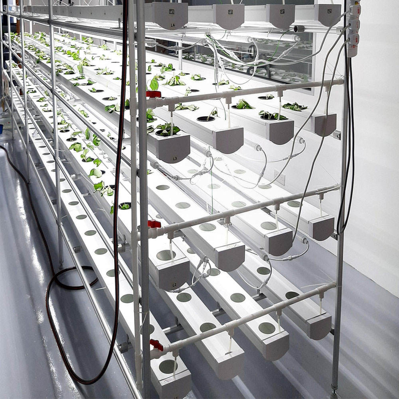 Tanah Tanpa Pertanian Indoor Strawberry Tumbuh PVC Tabung Untuk Hydroponics Sistem NFT Untuk Dijual