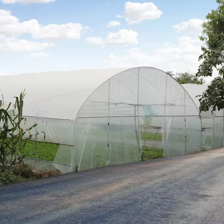 Tenda Rumah Kaca Sayuran Buah Single-span Tahan UV Film PE Plastik Biaya Rendah