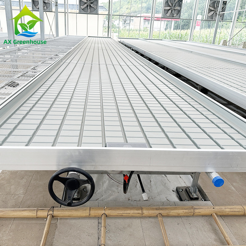 Ebb And Flood Hydroponic Movable Table Rolling Bench Untuk Menumbuhkan Tanaman Di Rumah Kaca