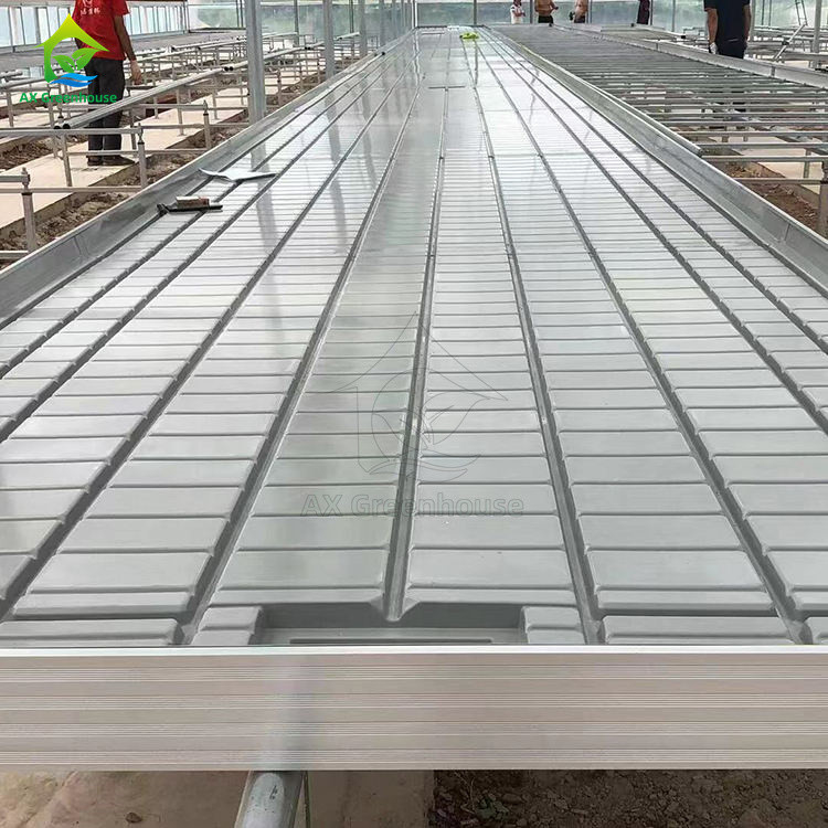 Ebb And Flood Hydroponic Movable Table Rolling Bench Untuk Menumbuhkan Tanaman Di Rumah Kaca