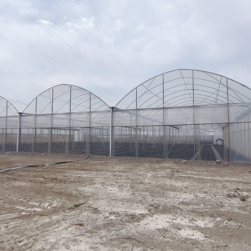 Hot Galvanized Steel Structure Multi-Span Plastic Film Custom Greenhouse dengan Tropical Top Ventilation Sawtooth Design