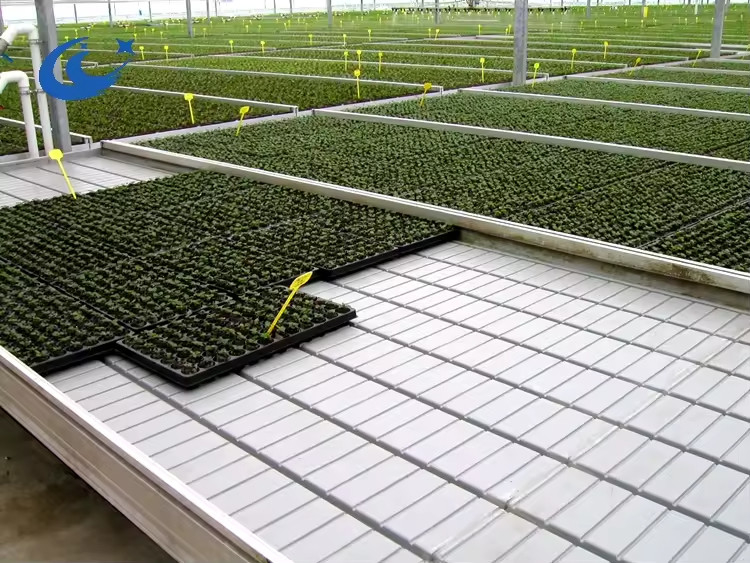 Greenhouse Rolling Benches Tumbuh Meja untuk Tanaman Tomat Benih Ebb And Flow Sistem Irigasi