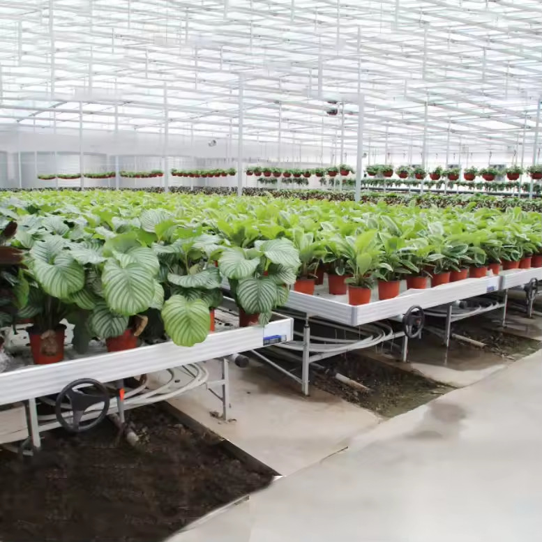 Rumah kaca Indoor Hydroponic Ebb And Flood Rolling Benches Tumbuh Benih Meja Untuk Benih
