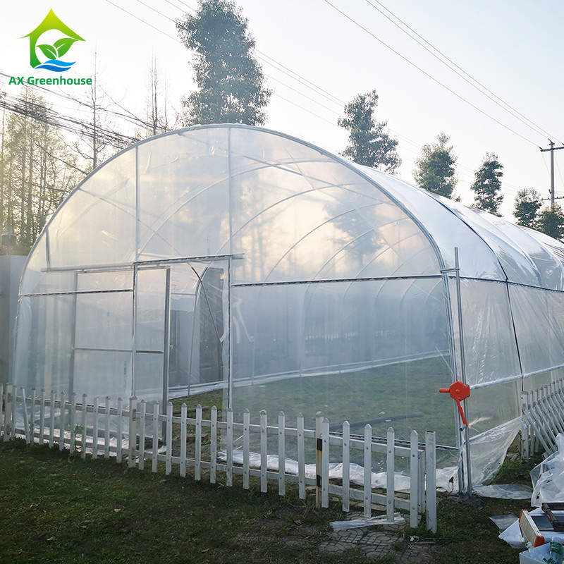Tenda Rumah Kaca Sayuran Buah Single-span Tahan UV Film PE Plastik Biaya Rendah