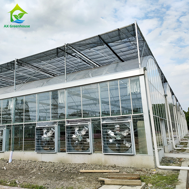 Sistem Kontrol Cerdas Rumah kaca tahan lama Untuk Sayuran 9.6m/10.8m/12m Lebar