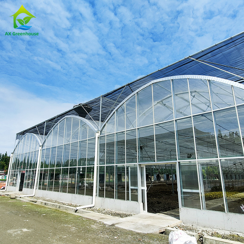 Sistem Kontrol Cerdas Rumah kaca tahan lama Untuk Sayuran 9.6m/10.8m/12m Lebar
