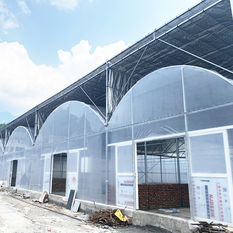 UV tahan 30x10m Plastik film rumah kaca untuk tomat dan sayuran dengan film penutup