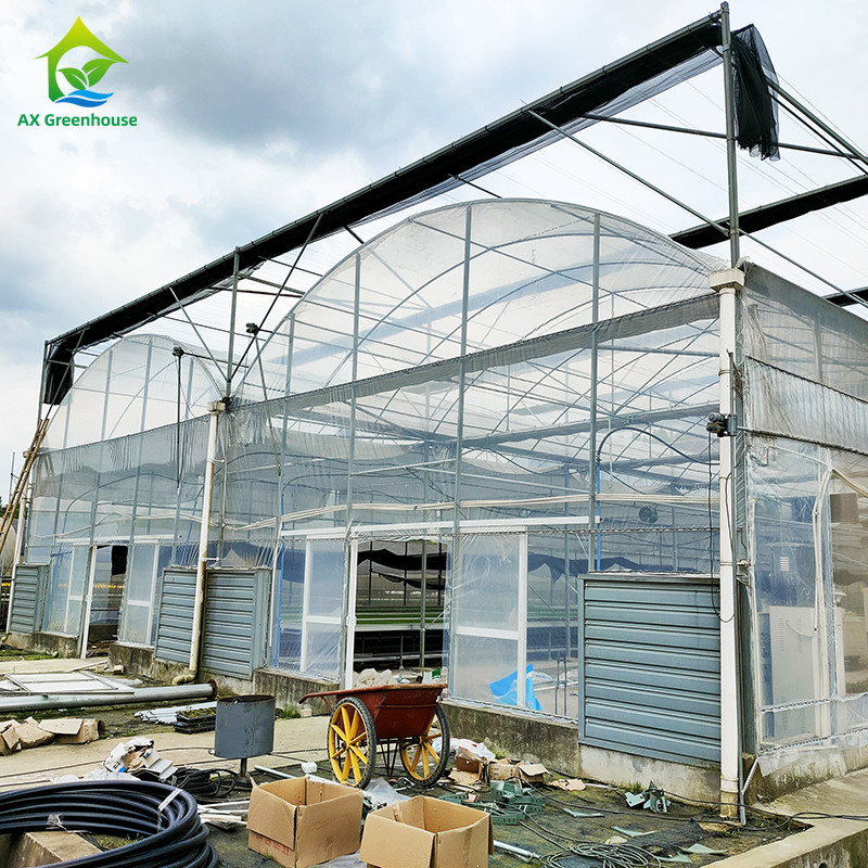 UV tahan 30x10m Plastik film rumah kaca untuk tomat dan sayuran dengan film penutup