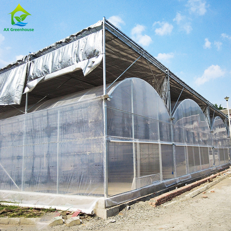 Film Plastik Multi-Span Baja Galvanis Panas Bertahan Rumah Kaca Pertanian Untuk Buah