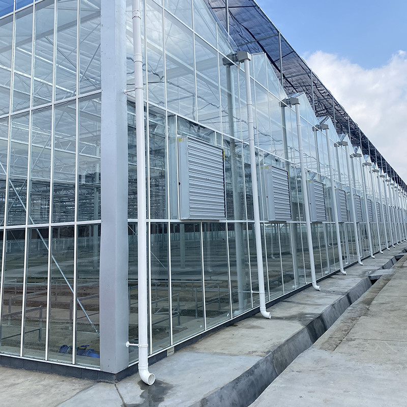 Struktur baja galvanis panas dan penutup kaca diperkuat untuk ventilasi yang optimal di rumah kaca pertanian