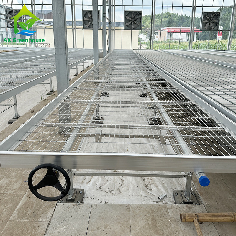 Rumah kaca Indoor Hydroponic Ebb And Flood Rolling Benches Tumbuh Benih Meja Untuk Benih