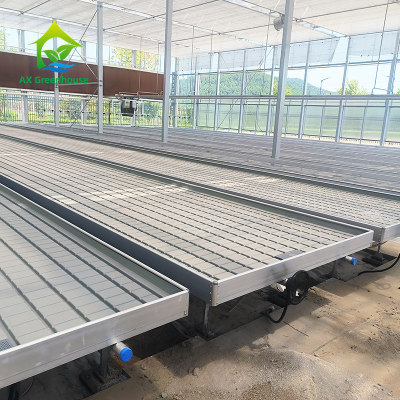 Greenhouse Rolling Benches Tumbuh Meja untuk Tanaman Tomat Benih Ebb And Flow Sistem Irigasi