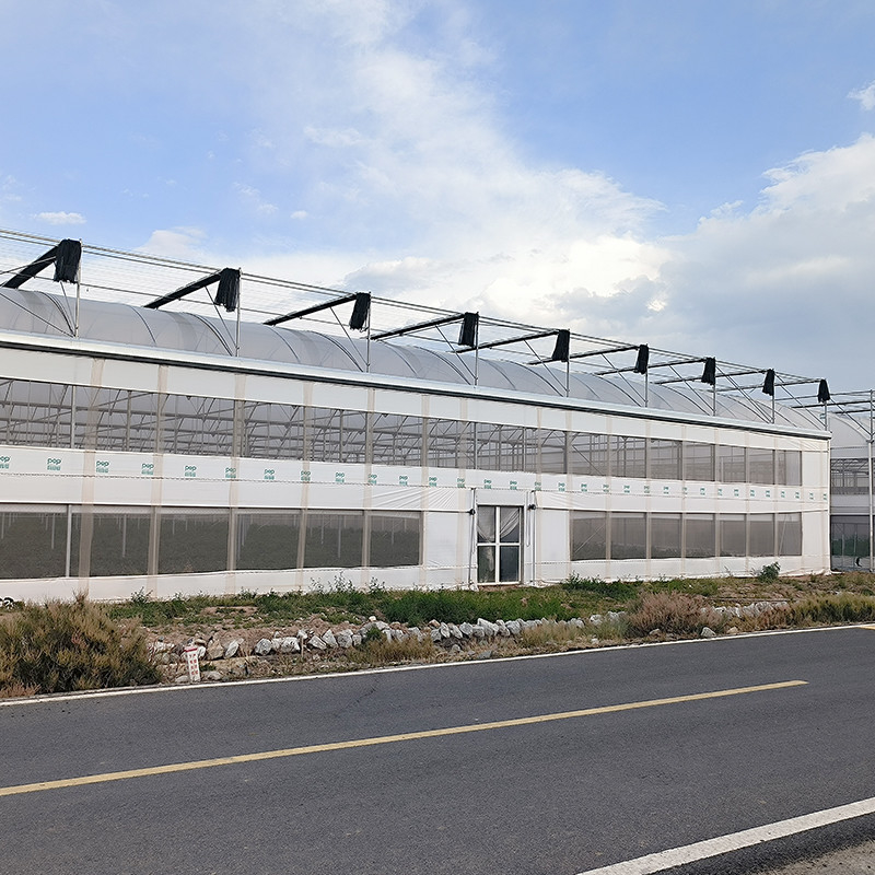 Struktur Baja Pertanian Poly Tunnel Hitam Shading Multi-span rumah kaca dengan sistem pendinginan opsional