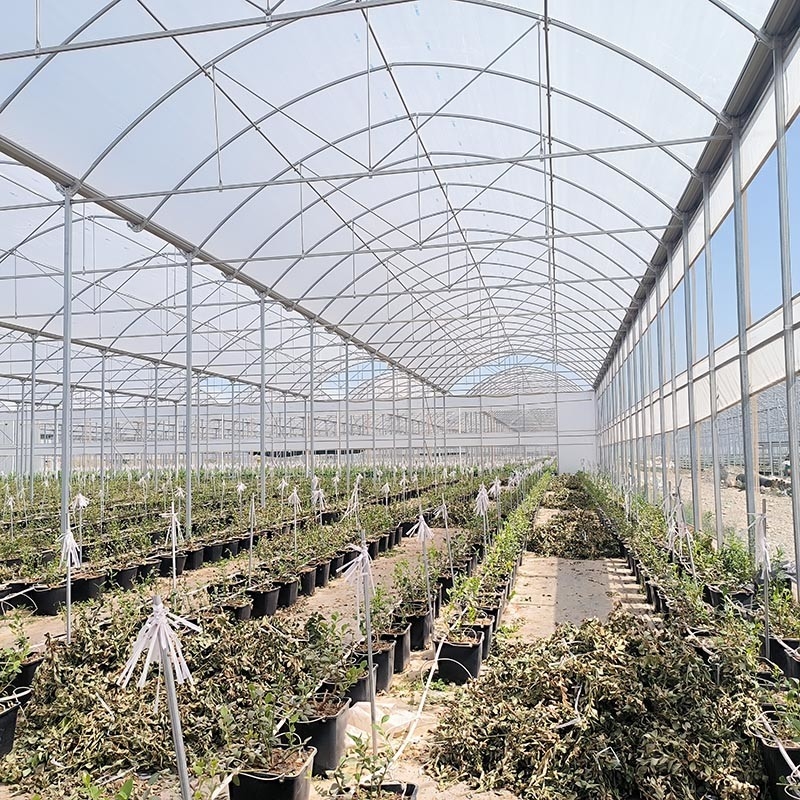 Struktur Baja Pertanian Poly Tunnel Hitam Shading Multi-span rumah kaca dengan sistem pendinginan opsional