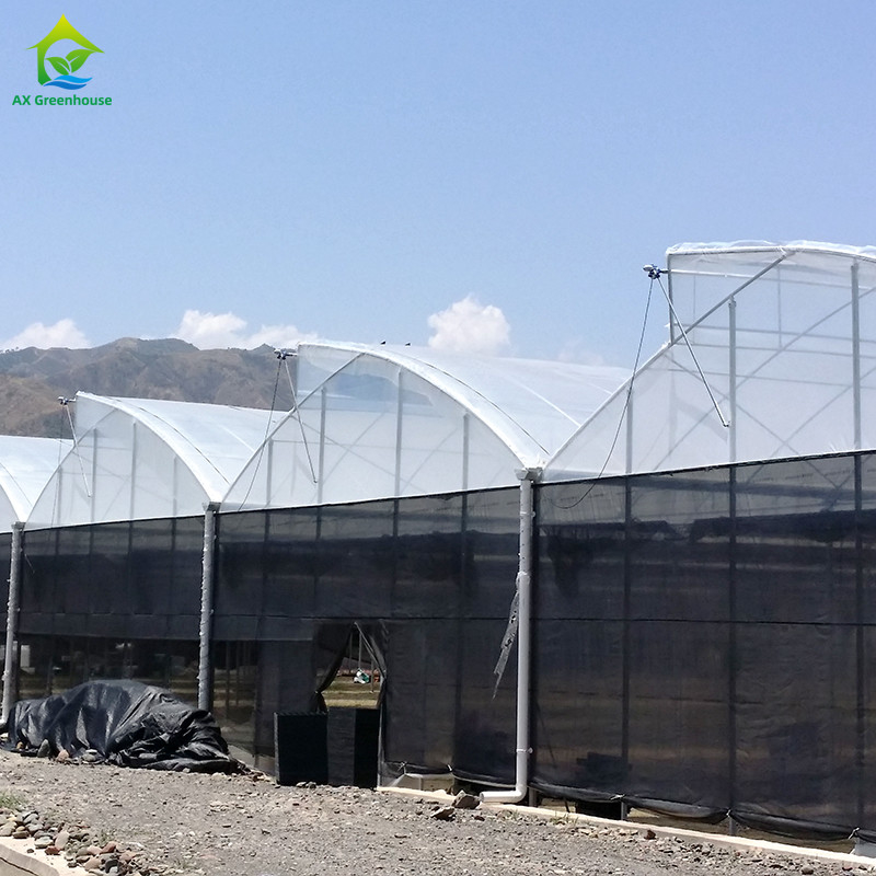 Struktur Baja Pertanian Poly Tunnel Hitam Shading Multi-span rumah kaca dengan sistem pendinginan opsional