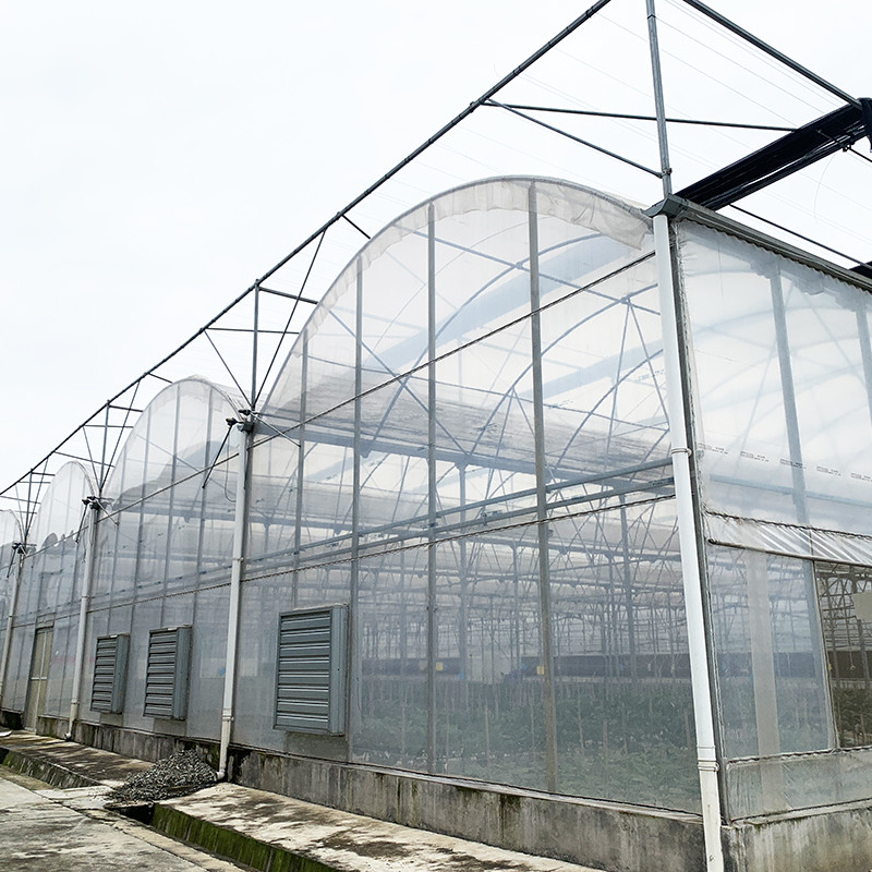 Struktur Baja Film Tahan UV Poly Tunnel Multi-span Rumah Kaca Sayuran untuk Tomat