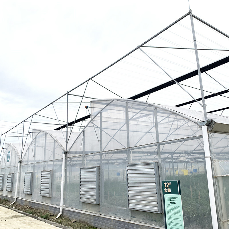 Struktur Baja Sawtooth Poly Film Low Tunnel Pertanian Multi-span Greenhouse untuk Produksi Sayuran Berkelanjutan