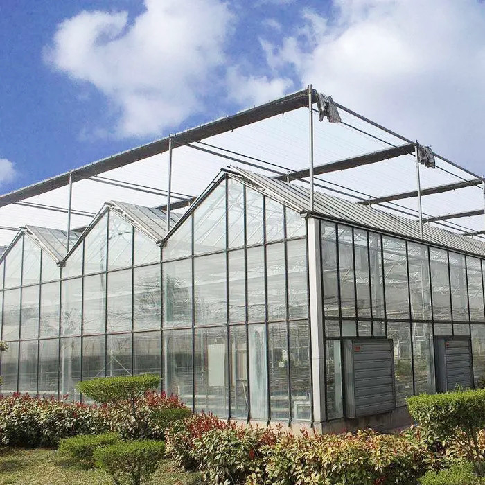 Hot Dip Galvanized Steel Multi-Span Venlo Tempered Glass Tomato Greenhouse untuk Kondisi Pertumbuhan yang Optimal