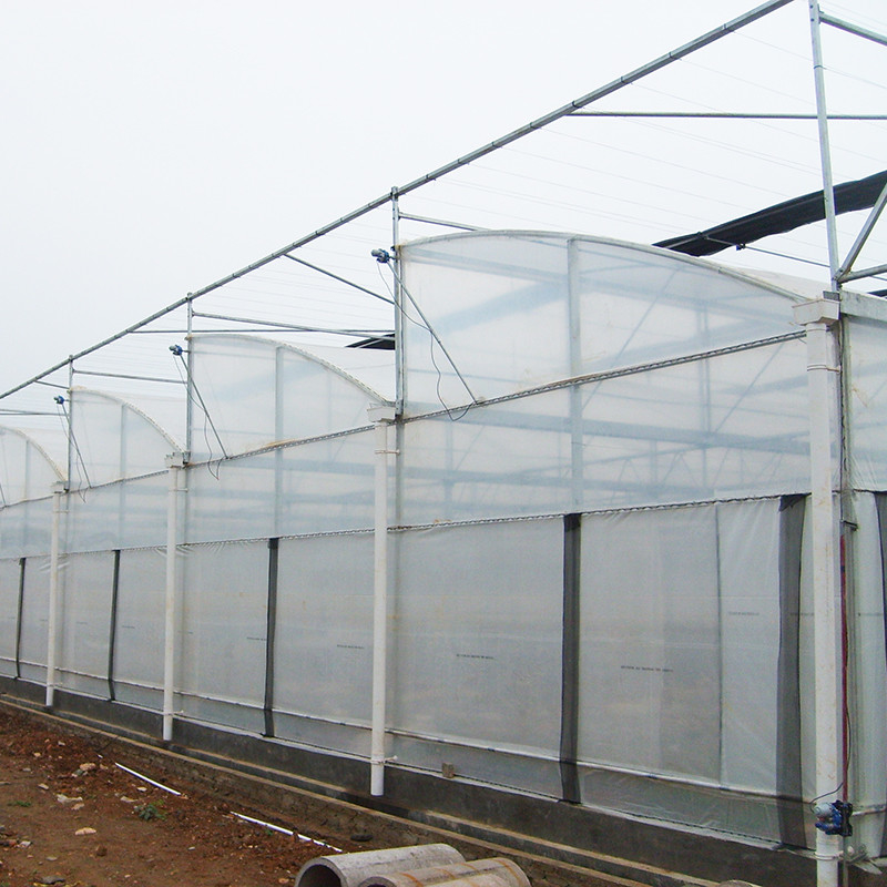 Struktur Baja Sawtooth Poly Film Low Tunnel Pertanian Multi-span Greenhouse untuk Produksi Sayuran Berkelanjutan